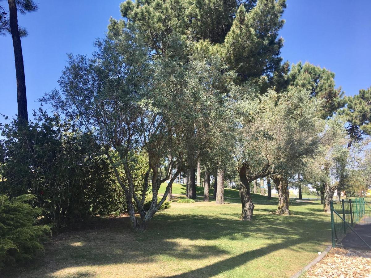 קינטה דו אנז'ו Sr Palmela Village Studios II מראה חיצוני תמונה